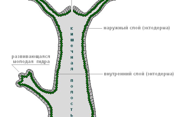 Hydra com зеркало