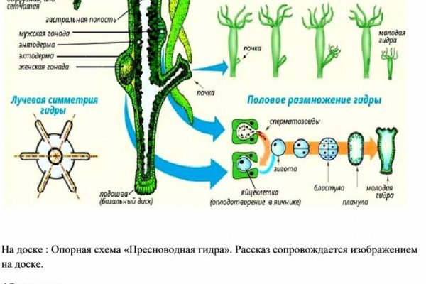 Сайт кракен тор kraken clear com